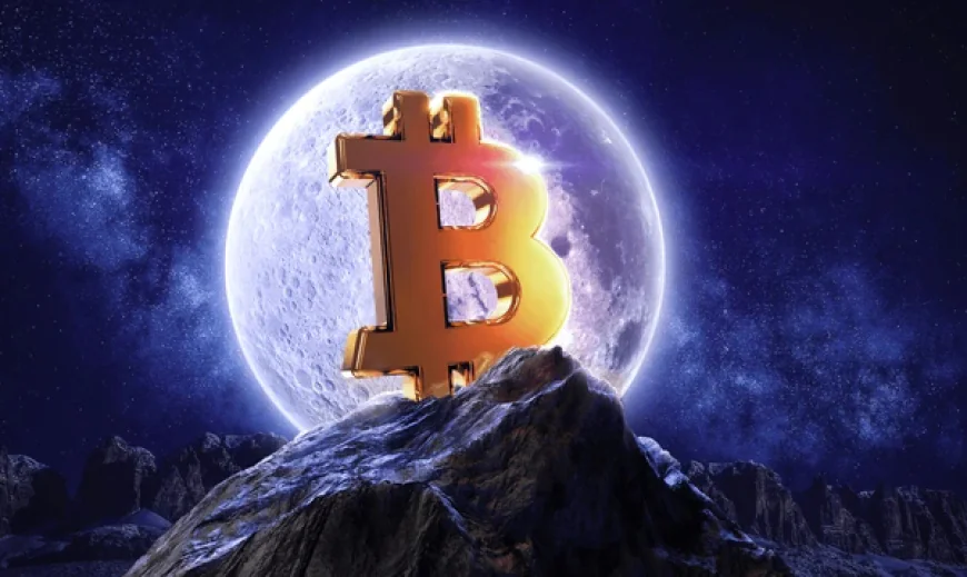 Bitcoin Price Surge: What’s Driving the Recent Rally?
