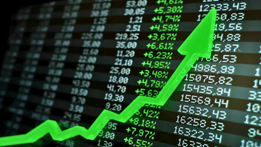 Undervalued Stocks Poised to Shine in 2025