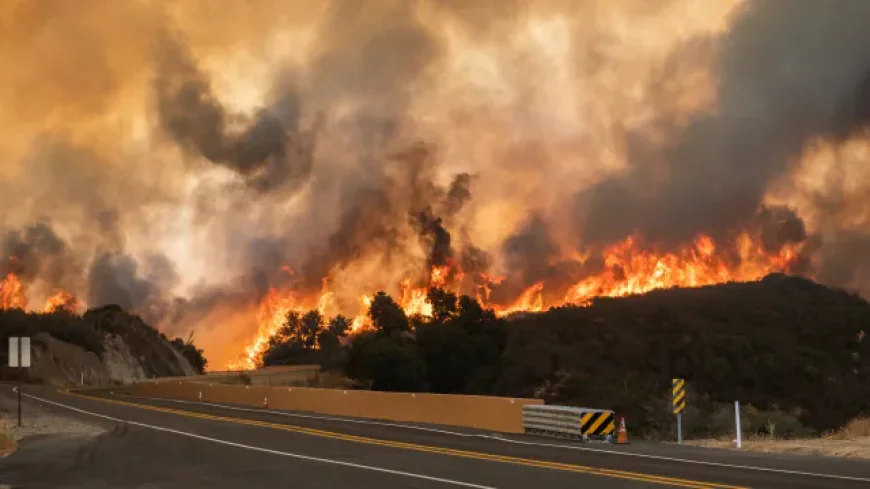 Israel Wildfires Contained; Market Sentiment Impact Assessed