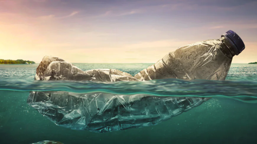 This Plastic Disappears in the Ocean - and Might Make Investors Rich