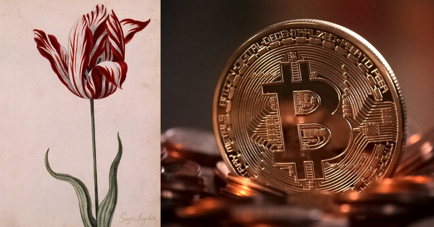 Bitcoin Called a ‘Tech Tulip’ by Black Swan Author Nassim Taleb