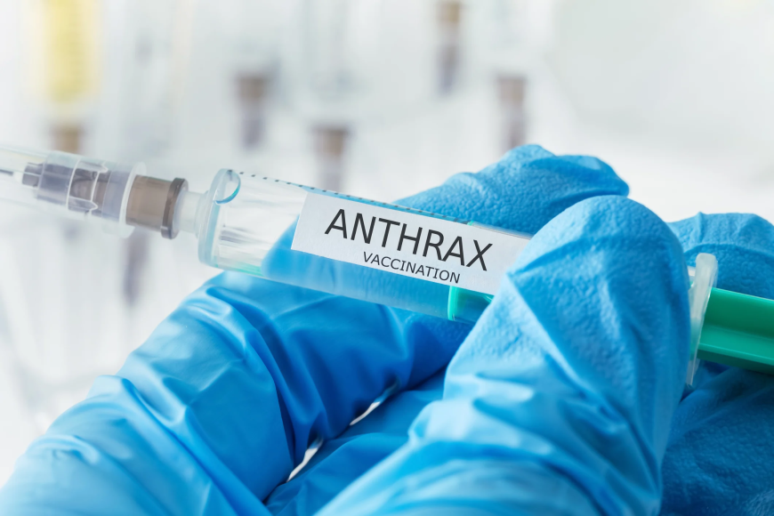 Thailand’s Anthrax Alert Raises Questions for Global Health Stocks