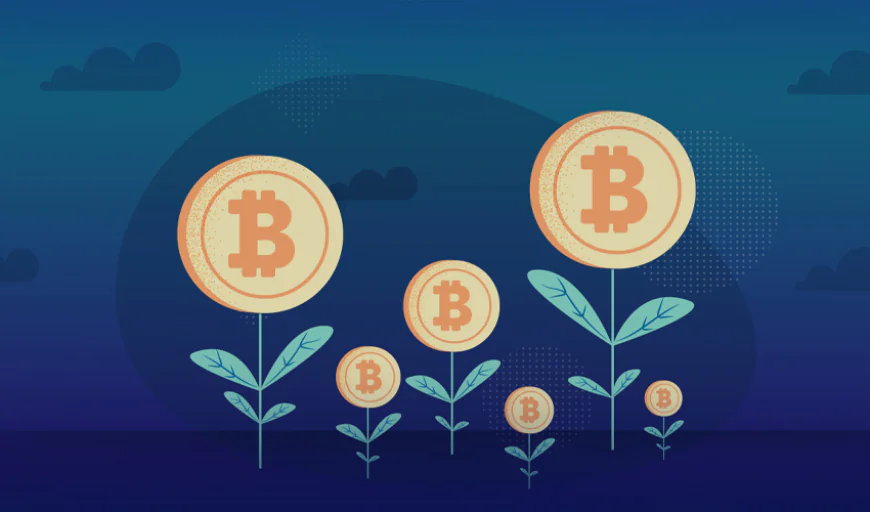 The Secret Website That Gave Away Billions in FREE Bitcoin!