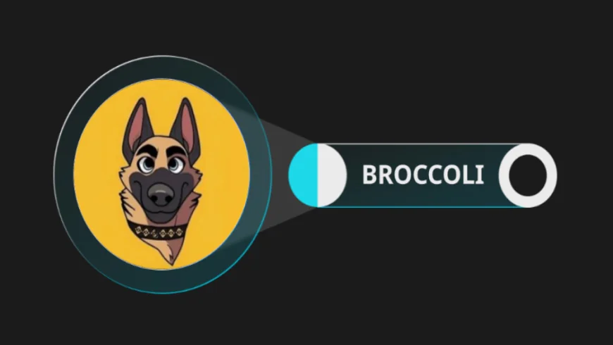 $BROCCOLI Token’s CTO Announces Discontinuation of BROCCOLI714 Amidst Challenges