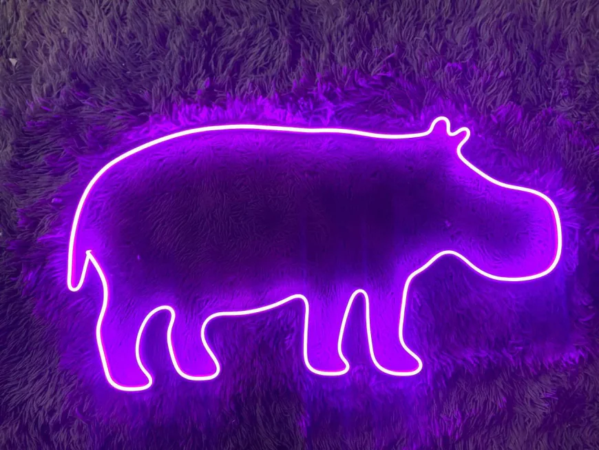 MOODENG’s 130% Surge: Is This Hippo Meme Coin the Next Crypto King?