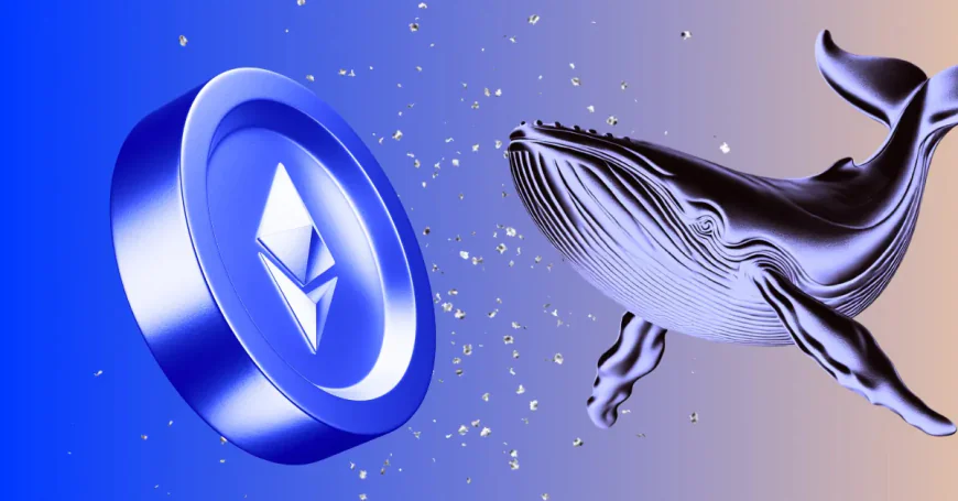 $335 Million Ethereum Exodus: What's Abraxas Capital Up To?