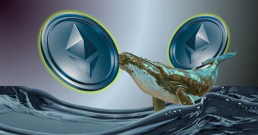 Big Bet or Smart Move? Abraxas Capital Adds $84.7M in Ethereum