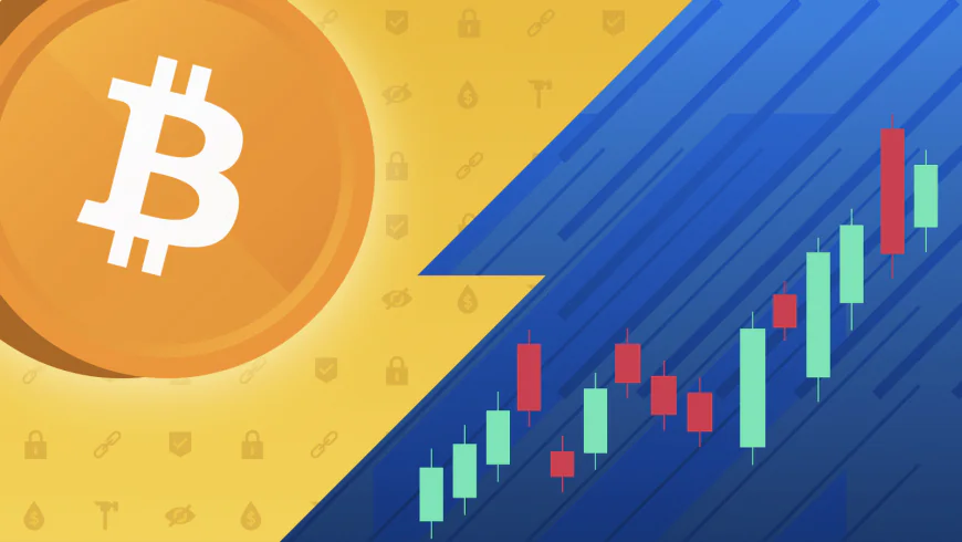 Bitcoin: The Geopolitically Neutral Asset Gaining Institutional Traction