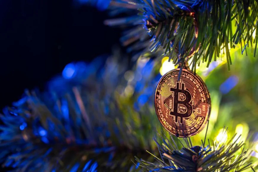 Strive’s Bold Move: Snagging Mt. Gox Bitcoin at a Steal!