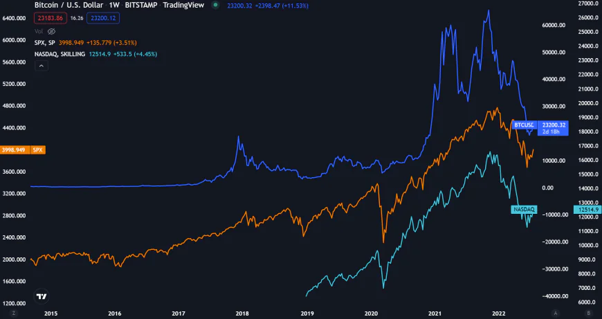 Bitcoin Soars to Record Highs as Stock Markets Plummet: What’s Driving the Crypto Surge?