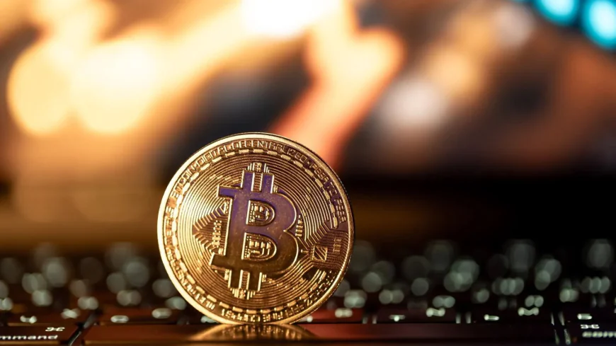 UK Tech Firm’s $2.5M Bitcoin Bet: The Next Big Crypto Power Move?
