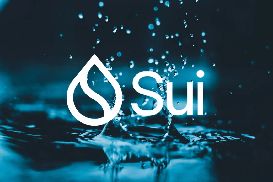 Sui Launches Zero-Knowledge Authenticator: A New Era for Scalable Crypto Identity?