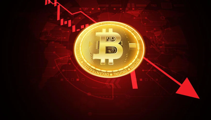 Bitcoin at $2K? Why Metaplanet Would Still Survive the Crypto Crash